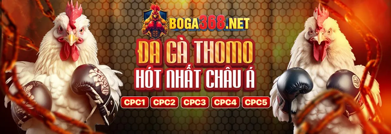 Đá Gà Trực Tuyến K9K9