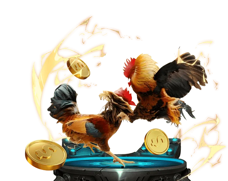 Các chương trình khuyến mãi độc quyền của K9K9